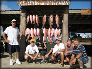 Variety of offshore fish biting well