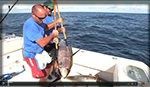 Chunking and Chumming Yellow Fin Tuna Trailer