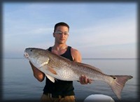 Inshore fishing with deep south charters