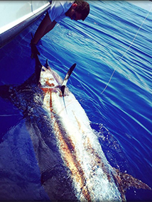 Deep South Charters Fishing