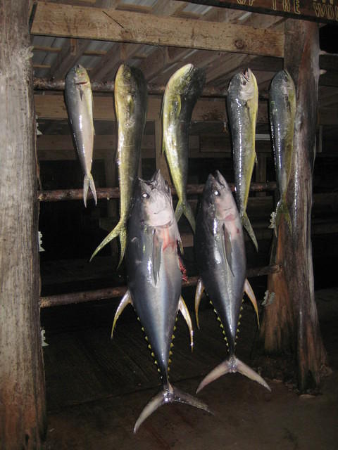 june2011 035