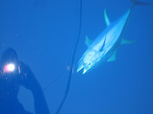 latemarch2011 003