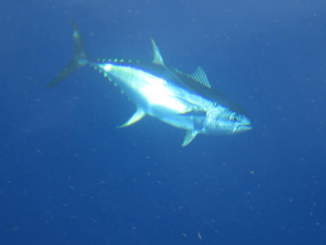 july2012 037