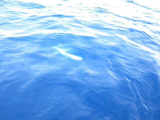 march2012 107