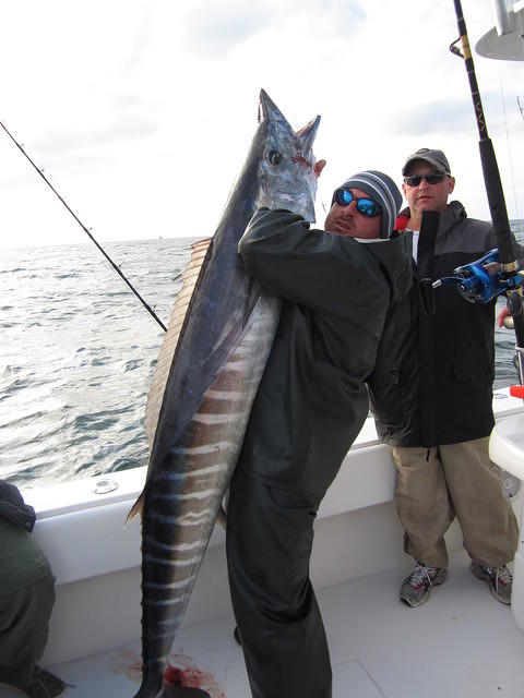 feb2012 010