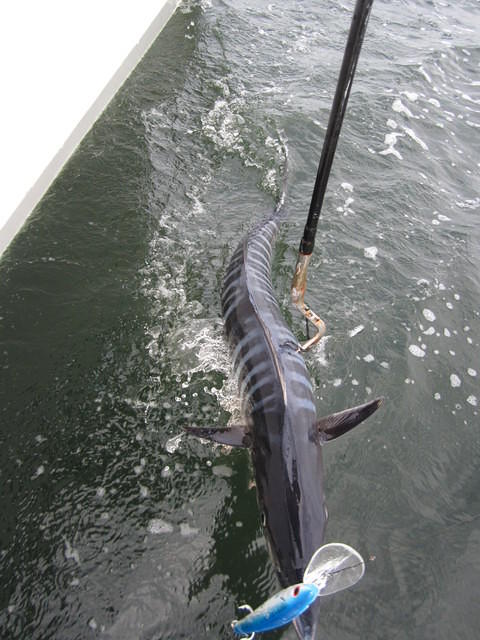 feb2012 041