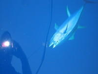 latemarch2011 003