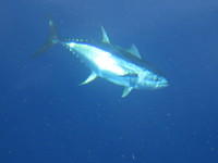 july2012 037