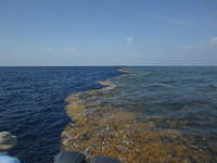 march2012 093