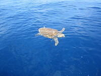 march2012 095