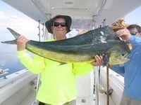 Cow Dolphin caught while offshore fishing venice